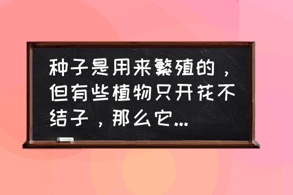 花卉种子繁殖方法 种子是用来繁殖的,但有些植物只开花不结子,那么它开花的目的是什么呢? 花卉种子繁殖方法 种子是用来繁殖的,但有些植物只开花不结子,那么它开花的目的是什么呢?
