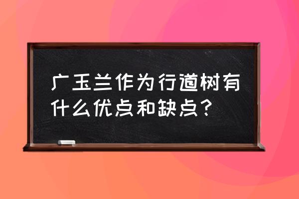 广玉兰栽植的最佳时间 广玉兰作为行道树有什么优点和缺点? 广玉兰栽植的最佳时间 广玉兰作为行道树有什么优点和缺点?