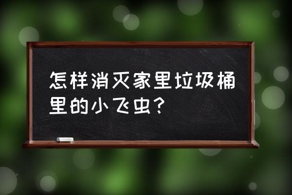 去除小飞虫最有效方法 怎样消灭家里垃圾桶里的小飞虫? 去除小飞虫最有效方法 怎样消灭家里垃圾桶里的小飞虫?