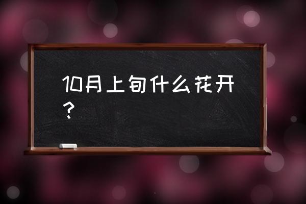 矮雪轮盆栽 10月上旬什么花开? 矮雪轮盆栽 10月上旬什么花开?