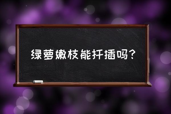 怎么扦插绿萝教程 绿萝嫩枝能扦插吗? 怎么扦插绿萝教程 绿萝嫩枝能扦插吗?
