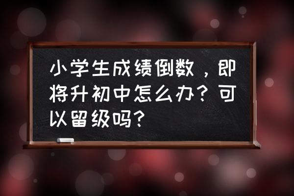 成长任务做完了为什么不能升级 小学生成绩倒数,即将升初中怎么办?可以留级吗? 成长任务做完了为什么不能升级 小学生成绩倒数,即将升初中怎么办?可以留级吗?