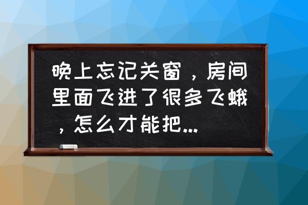 房间里飞蛾多有什么方法彻底清除 晚上忘记关窗,房间里面飞进了很多飞蛾,怎么才能把它们赶出去? 房间里飞蛾多有什么方法彻底清除 晚上忘记关窗,房间里面飞进了很多飞蛾,怎么才能把它们赶出去?