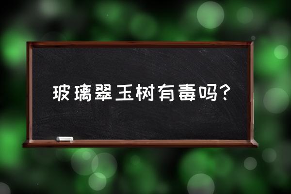 玉树对人有什么好处和坏处 玻璃翠玉树有毒吗? 玉树对人有什么好处和坏处 玻璃翠玉树有毒吗?