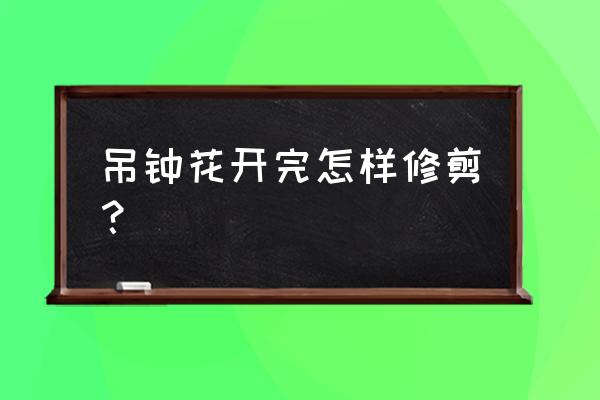 吊钟型最好的花 吊钟花开完怎样修剪? 吊钟型最好的花 吊钟花开完怎样修剪?